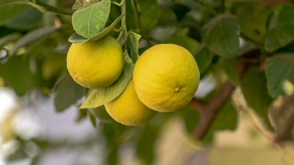 অপবাদ থেকে মুক্তি পেতে এটি করুন
