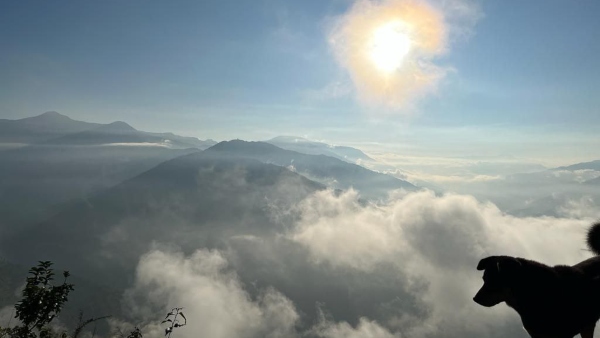 দীবাবলীর ছুটিতে কিউজিং
