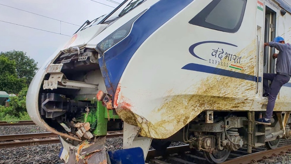 ৩ থেকে চারটি মোষ চলে আসে ৩ থেকে চারটি মোষ চলে আসে