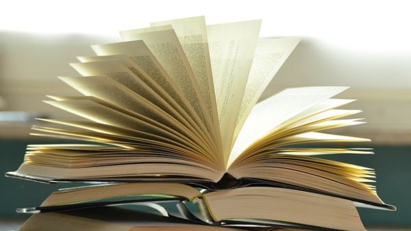 ছেঁড়া বই ছেঁড়া বই