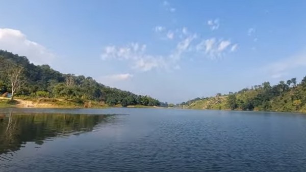 প্রচুর পাখির সমাগম