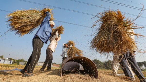 কৃষকদের জন্য শুল্ক প্রত্যাহার করা হোক