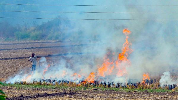 আগেভাগে দিল্লিকে সাবধান করে দিল নাসা