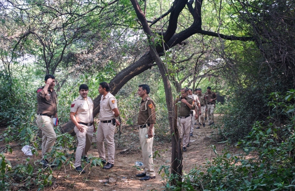 মেহরৌলির জঙ্গলে