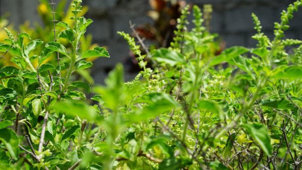  এটি করলে আপনার আর্থিক উন্নতি হবে