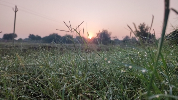 দক্ষিণবঙ্গের আবহাওয়া 