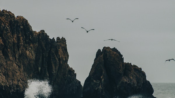 বারমুডা ট্রায়াঙ্গল