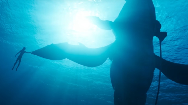 পরিচালক জানান পরিচালক জানান