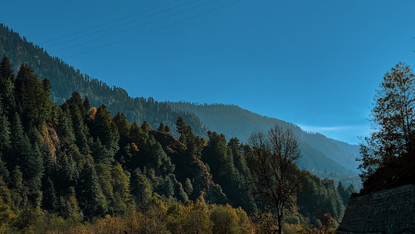 হিমাচল প্রদেশের গোসাইনি