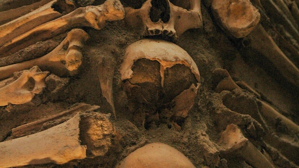 দ্য ক্যাটাকম্বস