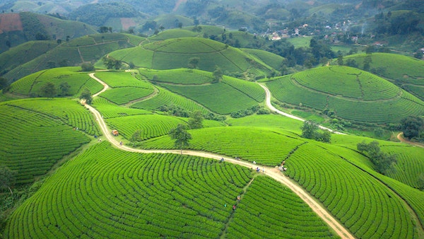 ইম্ফলের উখরুল