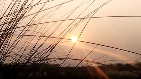 বৃষ্টি শুরু দক্ষিণে