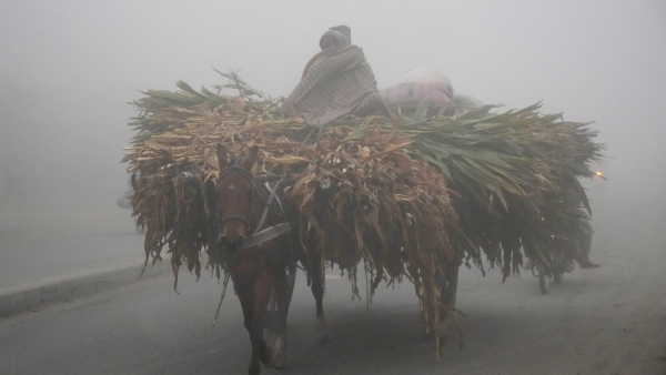 তুষারপাতের পূর্বাভাস তুষারপাতের পূর্বাভাস