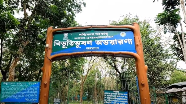 ঘরের কাছেই অ্যামাজনের জঙ্গল ঘরের কাছেই অ্যামাজনের জঙ্গল