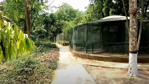 বিভূতি ভূষণ অভয়ারণ্য বিভূতি ভূষণ অভয়ারণ্য