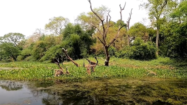 নীলকুঠি সাহেবদের বাড়ি নীলকুঠি সাহেবদের বাড়ি