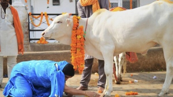 দেশের সংস্কৃতি এবং গ্রামীণ অর্থনীতির মেরুদণ্ড