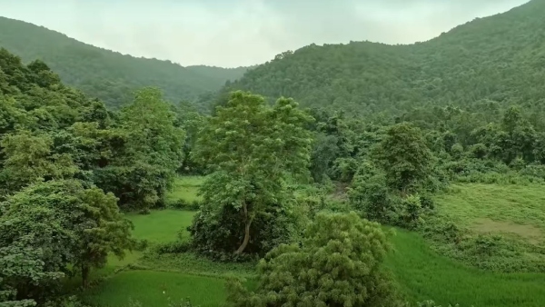 ডিমনা অভয়ারণ্য