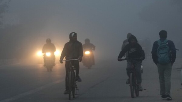 কমলা সতর্কতা জাির কমলা সতর্কতা জাির