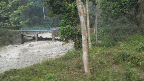 ঘরের কাছেই মিনি ডুয়ার্স
