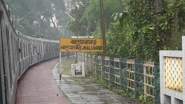 কী দেখবেন