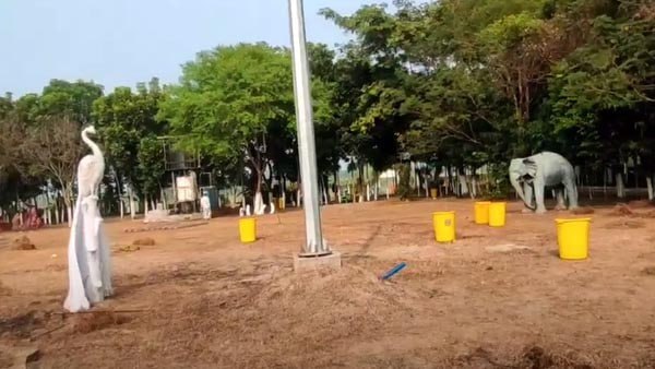  জঙ্গলে ছোঁয়া রয়েছে মঙ্গলদ্বীপে