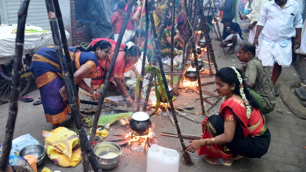  মাত্তু পোঙ্গল