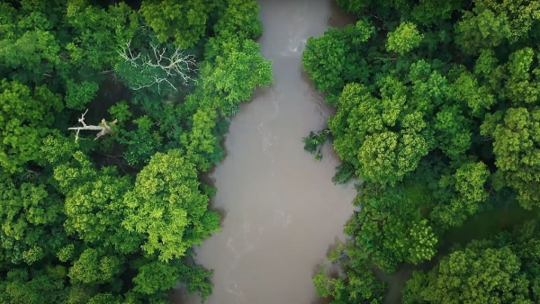 ঘরের কাছেই সবুজ দ্বীপ