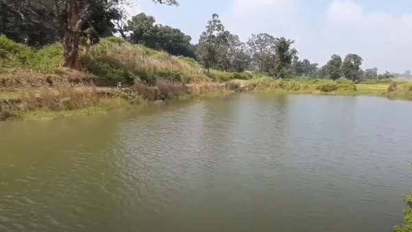 কীভাবে যাবেন কীভাবে যাবেন