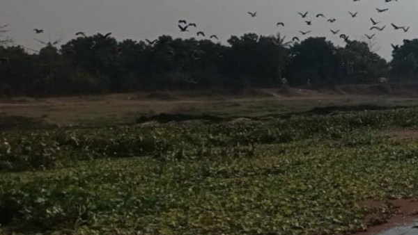 নৌকা ভ্রমণ