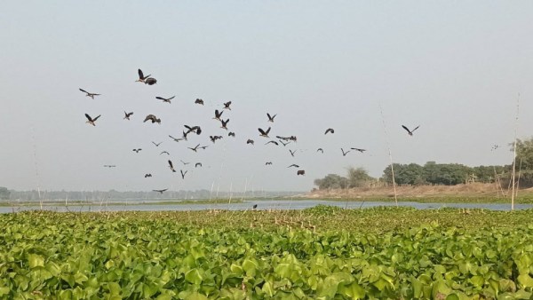 থাকার জায়গা