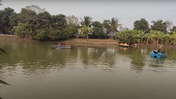 আর দেখার আছে