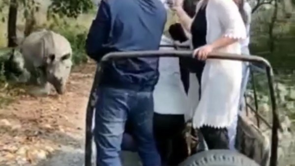 জঙ্গল সাফারিতে বিপত্তি জঙ্গল সাফারিতে বিপত্তি