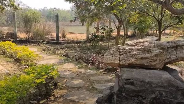 জঙ্গলের গহীনের রোমাঞ্চ