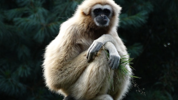 গভীরে গিয়ে গবেষণা শুরু করলেন বিশেষজ্ঞরা গভীরে গিয়ে গবেষণা শুরু করলেন বিশেষজ্ঞরা