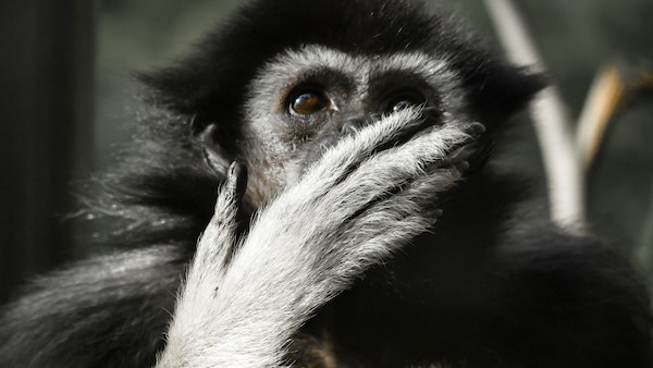 অবশেষে মেলে খোঁজ! অবশেষে মেলে খোঁজ!