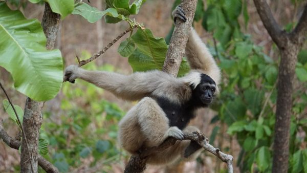 একা থেকে কীভাবে সম্ভব হয় একা থেকে কীভাবে সম্ভব হয়