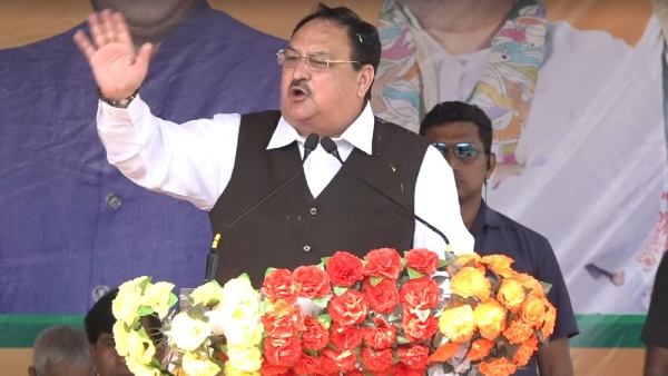 মমতা বন্যোেনপাধ্যায়ের নেতৃত্বে জঙ্গলরাজ বাংলায়