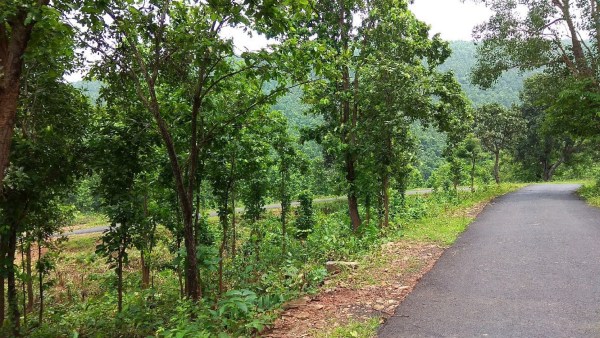 কলকাতার কাছেই কলকাতার কাছেই