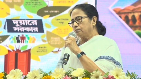 কাকের বাসায় এসে কোকিল ডিম পাড়ে
