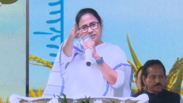 বাজেটের পরে সরকার পড়ে যাচ্ছিল বাজেটের পরে সরকার পড়ে যাচ্ছিল