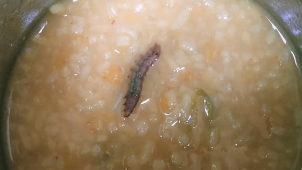  মিডডে মিলের খাবার শুয়োপোকা