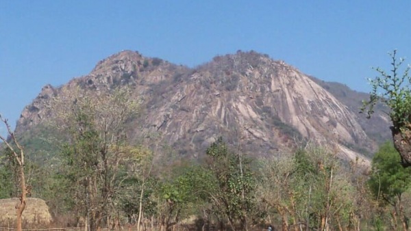 কোথায় আছে পাখি পাহাড়