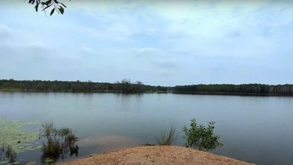 পুরুলিয়ার সুন্দরবন পুরুলিয়ার সুন্দরবন