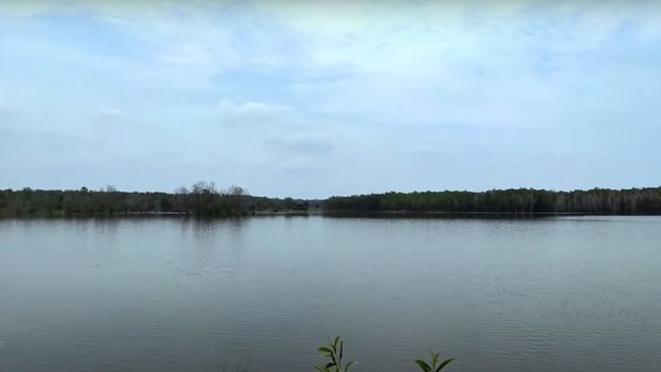 কীভাবে যাবেন কীভাবে যাবেন