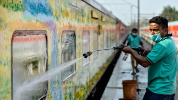 সবুজ ও বাদামি রং