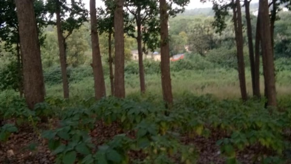 কী আছে দেখার কী আছে দেখার