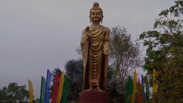 কী কী রয়েছে