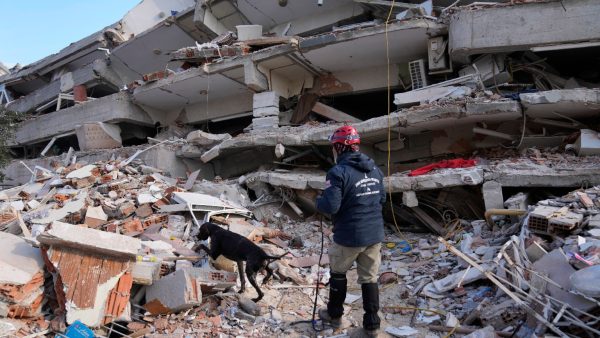 তবুও কেউ জীবিত রয়েছেন কি না