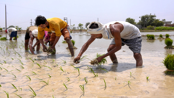 দক্ষিণবঙ্গের আবহাওয়া